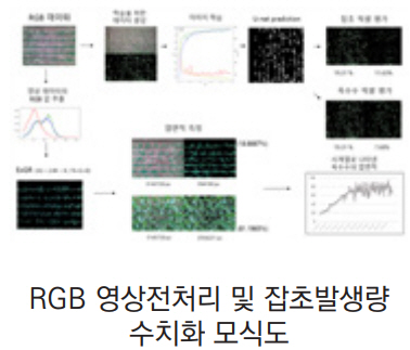 RGB 영상전처리 및 잡초발생량 수치화 모식도